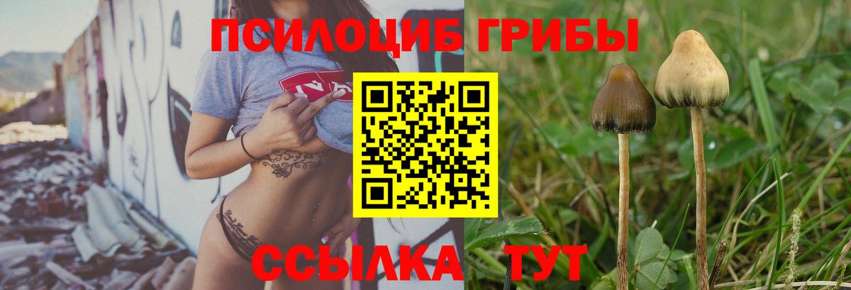 Михайловск  Псилоцибиновые грибы ЛСД  где купить наркоту  Вход с VPN  Псилоцибиновые грибы ЛСД 